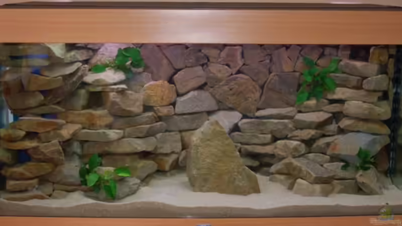 Malawi 360l von Tombic (1)