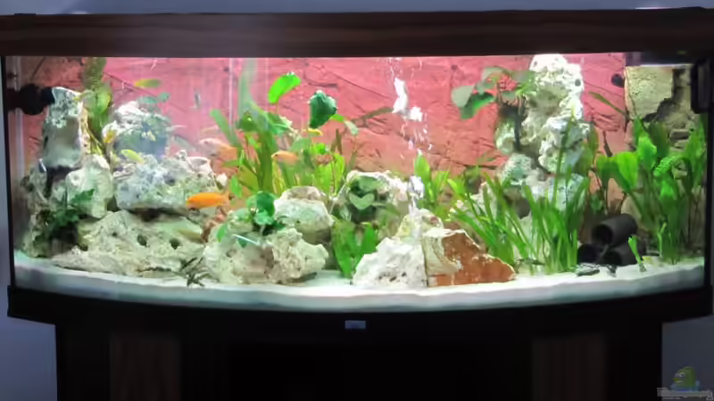 Malawi 450 Liter von Andreas Novak (1)