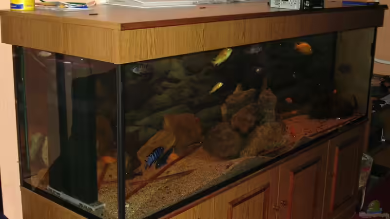 Malawi Becken 720l von Cliff Lehmann (2)