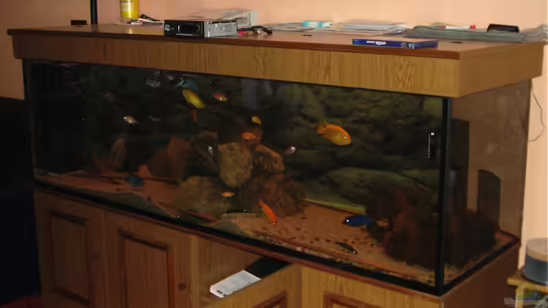 Malawi Becken 720l von Cliff Lehmann (3)