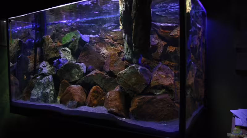 MALAWI-BECKEN,GER??LLBIOTOP F??R ´MBUNAS´ von Florian Bandhauer (1)