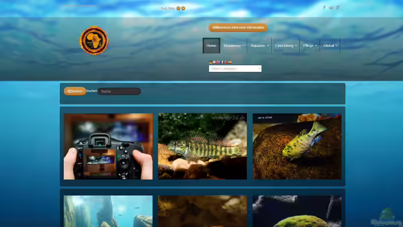 Screenshot von www.malawi-guru.de