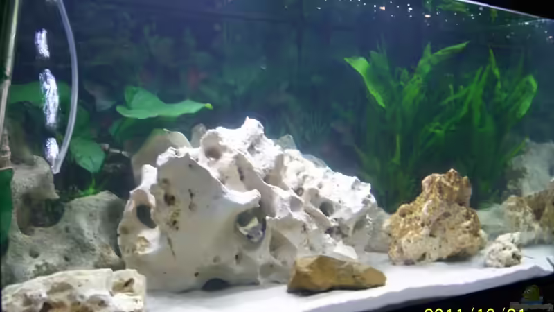 Malawi Palace Malawi Palace