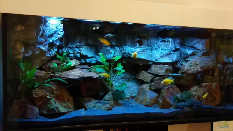 Malawi Sunrise von FunkyTraut (1)