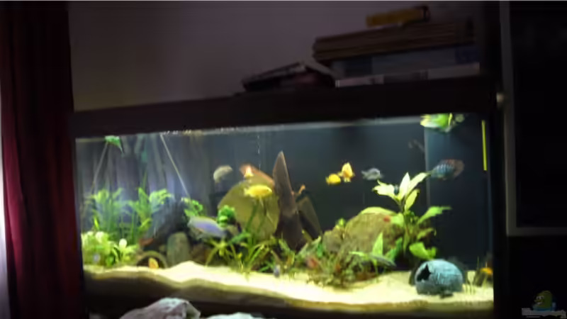 Malawi und südafrika