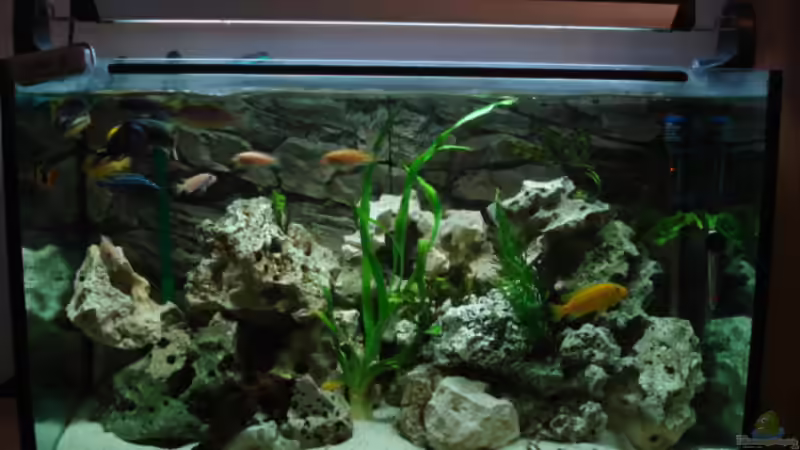 Malawi von Andreas Deutschmann (2)