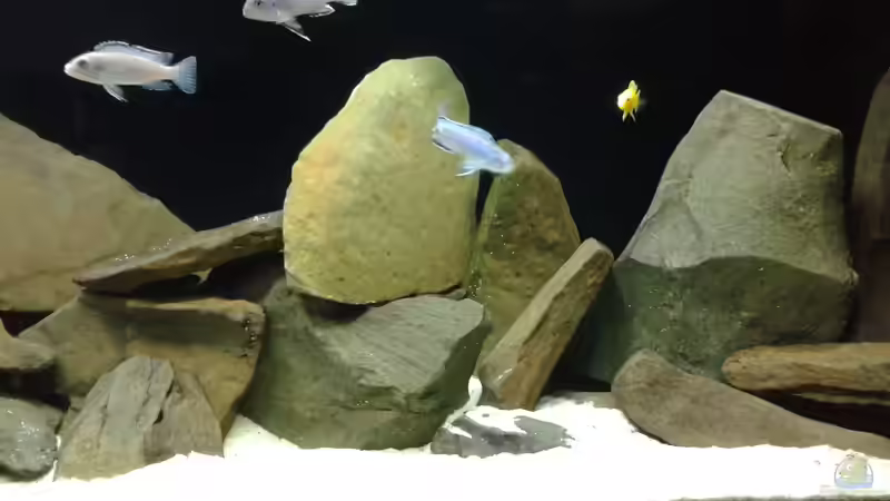 Malawi von Andreas Zimmermann (1)