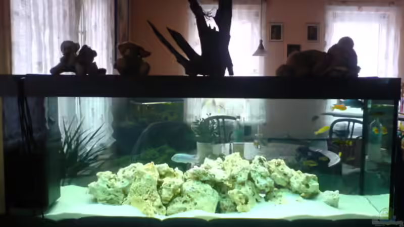 Malawi von DoctorSatan (1)