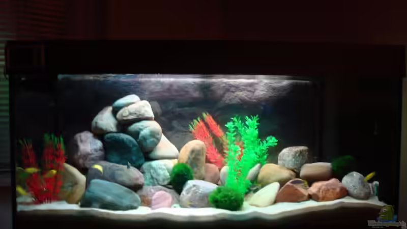 Malawi von Holger Busse (1)