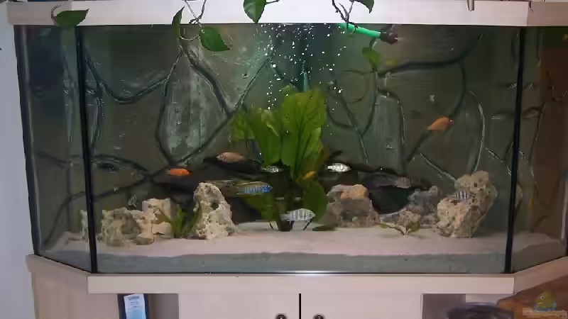 Malawi von Kux Dominik (1)