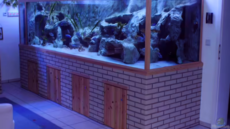 Malawibecken 3150 Liter von Wolfgang Schlader (1)