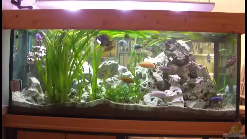 Malawibecken Februar 2009 von knoeri (1)