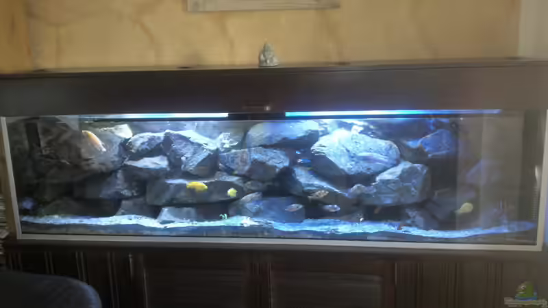 Malawibecken Hauptansicht von malawikrebs (1)