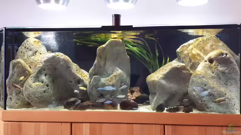 Malawibecken von Andreas L. (1)