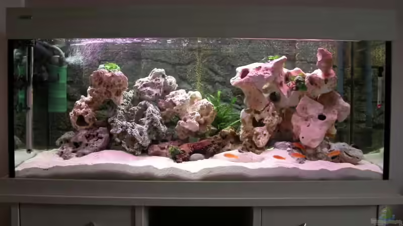 Malawibecken von Jürgen Langer (1)