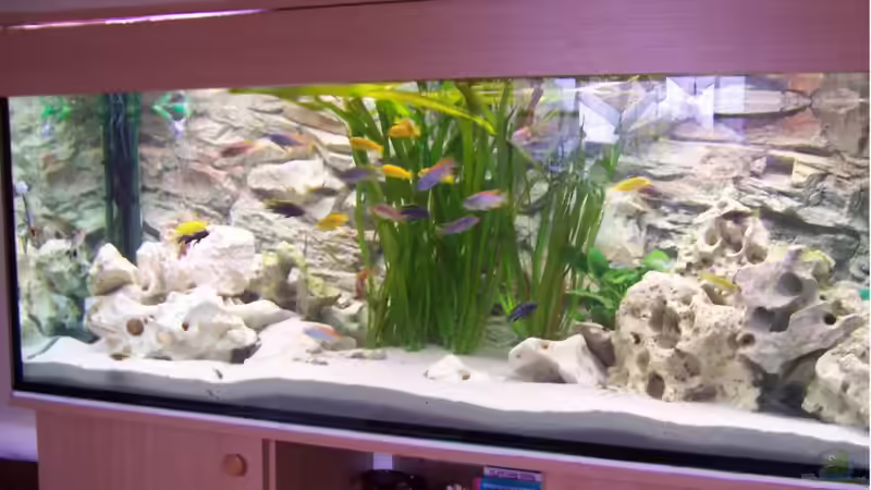 Malawibecken von wd1965 (1)