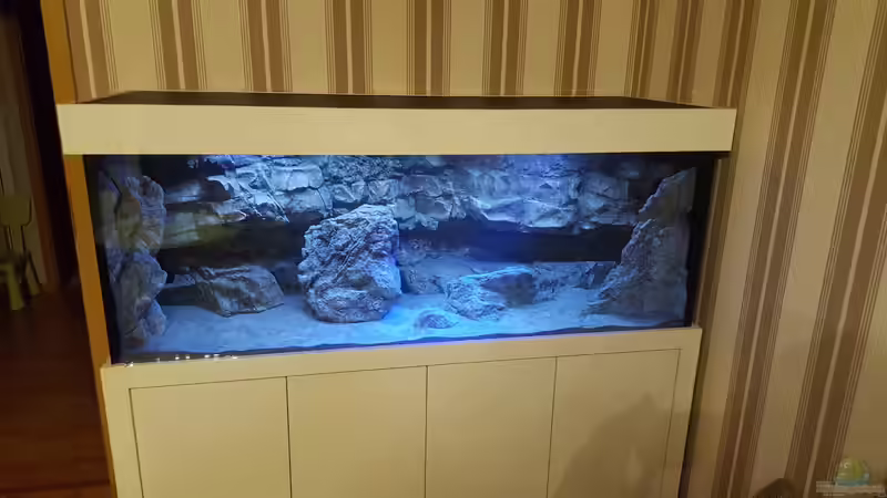 Malawidream von Murdock (1)