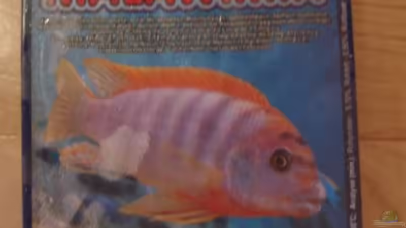 Malawimix gefroren von Lukas Szewczyk (20)