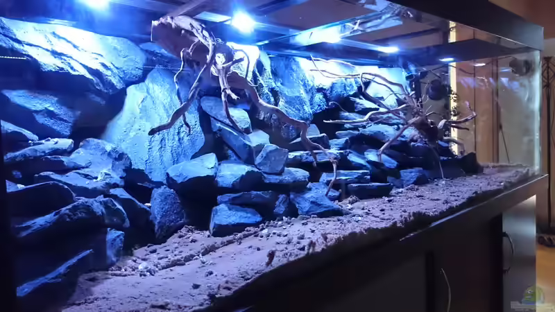 Malawi´s Playground von Tobias Summerer (1)