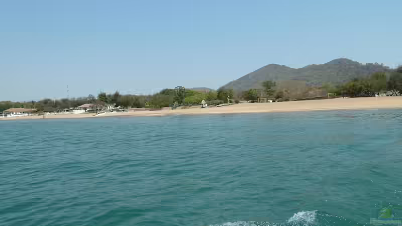 Malawisee von Malawi-Freunde (2)