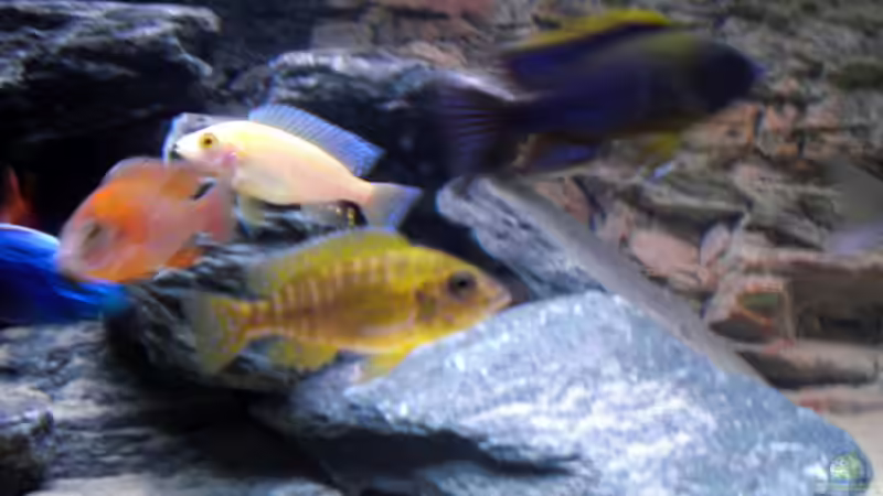 maleri von pennywise (20)