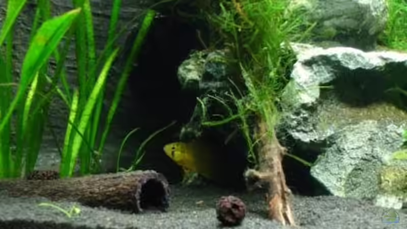 Mami und die Brut von Alfur (13)