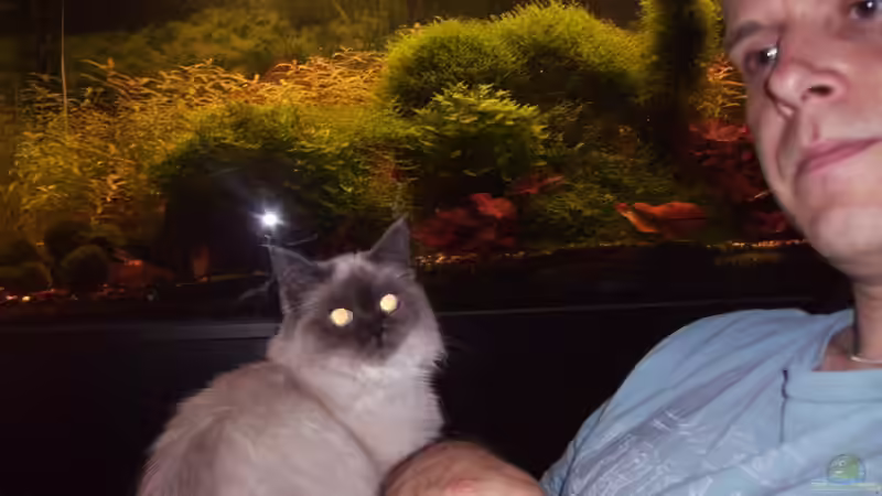 Man beachte den Hintergrund ;-) von Stefan Bischoff (8)