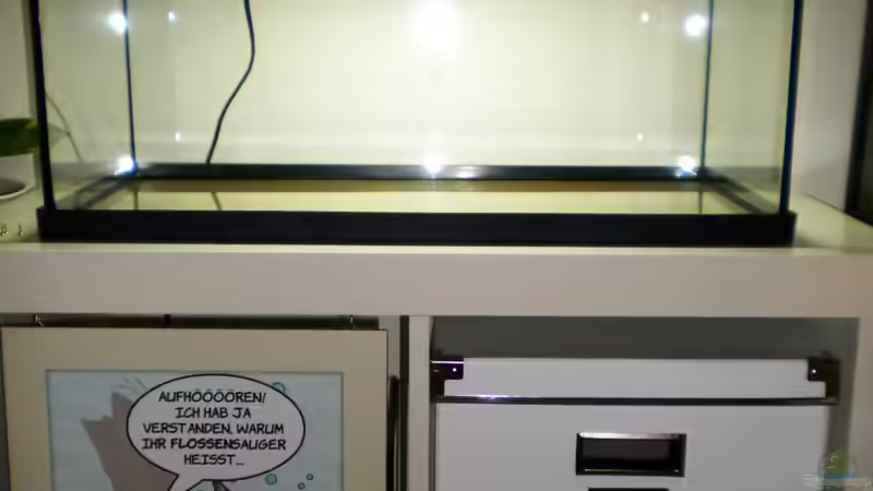 Man beachte den standesgemäßen Cartoon von ´thoddy´ im Regal ;-) von Benjamin Hamann (2)