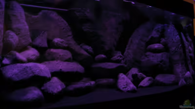 man kann einfach nicht die finger von dem lichcomputer lassen von LaEy (13)