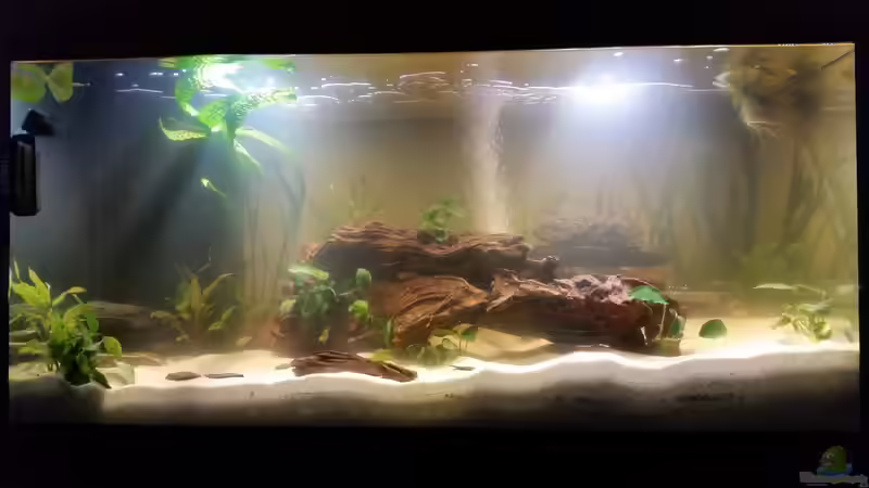 man sieht schon mehr von SvenDerGroße (5)