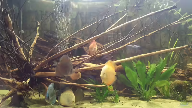 man wächst :-) von kellerkind (28)