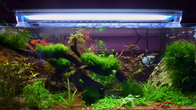 Manado Bay am 20.12.2011 von mike1963 (7)