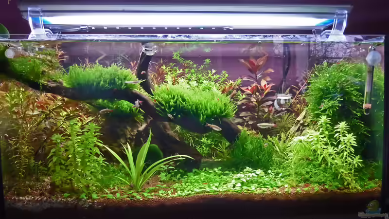 Manado Bay von mike1963 (1)