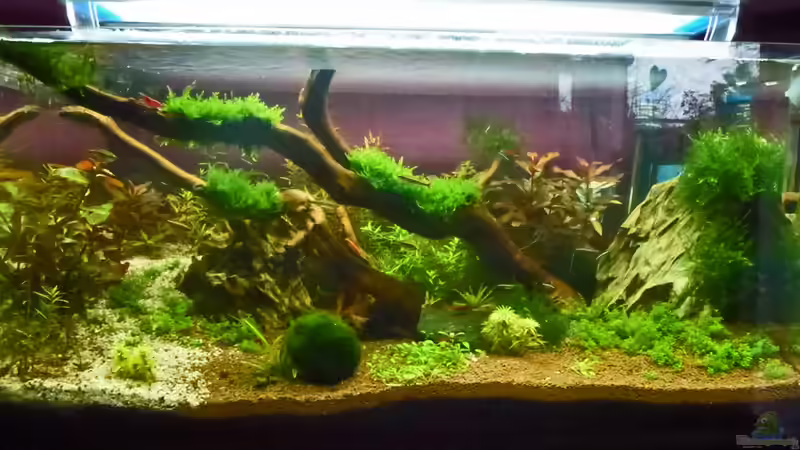 Manado Bay von mike1963 (2)