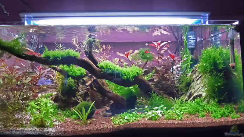 Manado Bay von mike1963 (3)