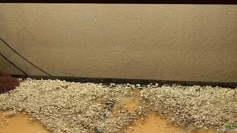 manado und ferpol von Torsten Thiel (14)