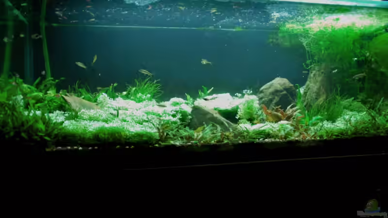 March 2013, overview von lomarraco (6)