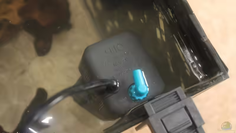 Marea Steam 2400l/h im Testlauf von chrisi01 (10)