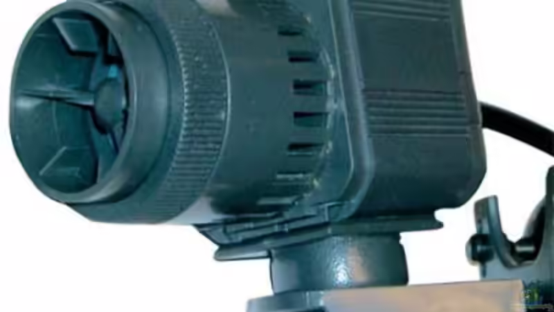 Marea Stream 2400 mit abgebauten Strömungskanal von Klaus Kussmann (12)