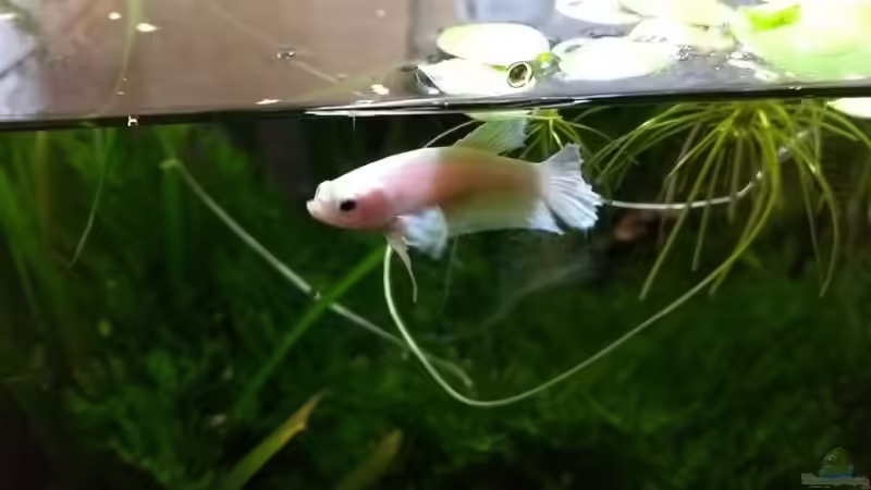 Maria 16.10.18 von Stephy (14)