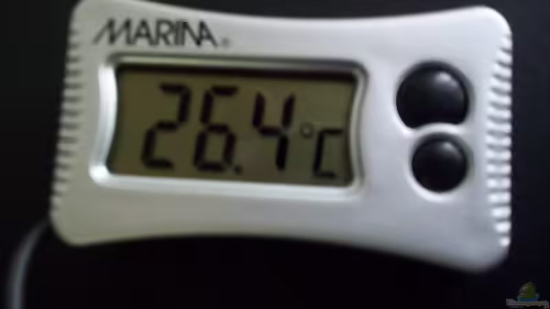 Marina Digitalthermosensor von Didi (46)