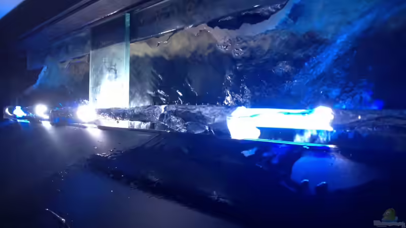 Marine Day light. Bearbeitet von der Steirer (111)