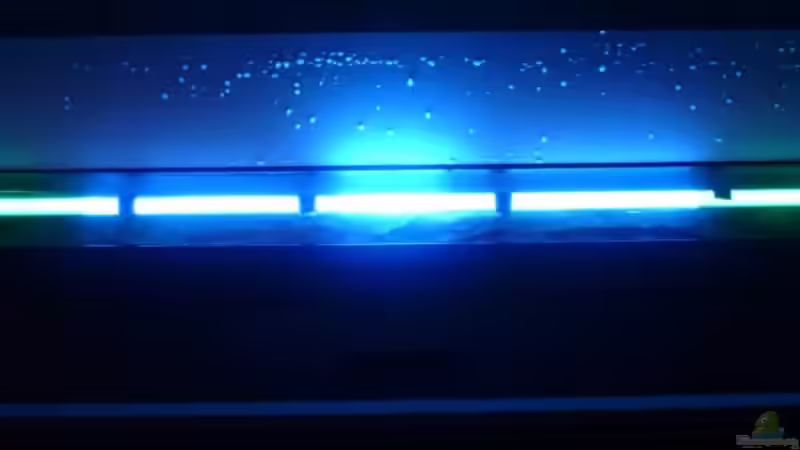 MarinGlo mir grünen Farbrohren außen und Reduce-Folie außen und mittig gedimmt von TheToxicAvenger (21)