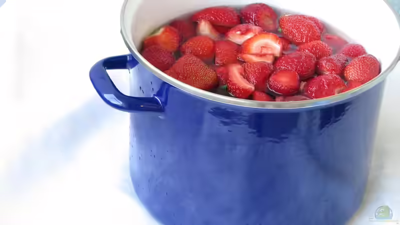 Marmelade aus Früchten des eigenen Gartens: Schritt-für-Schritt-Anleitung für köstliche Naturprodukte