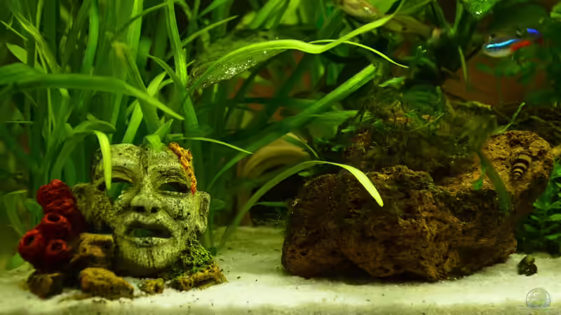 Maske und Stein von Will (6)