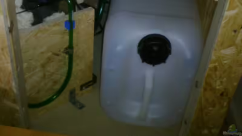 Maßarbeit von Betta Chris (41)