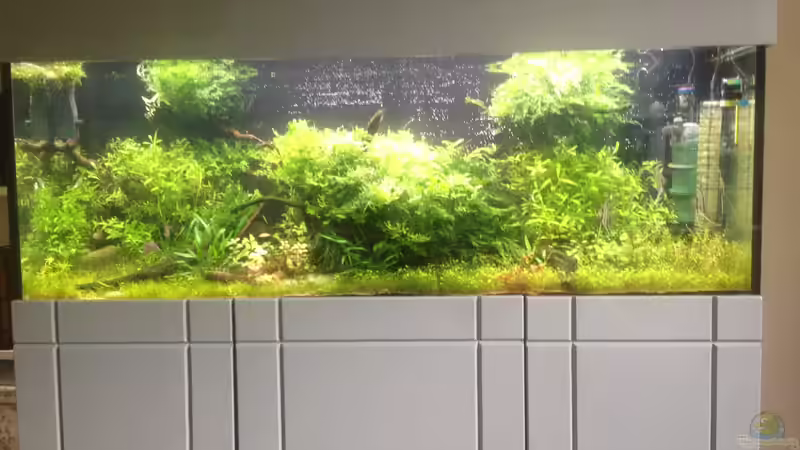 Massiver Rückschritt 26.08.17 von Dominik Wexenberger (3)