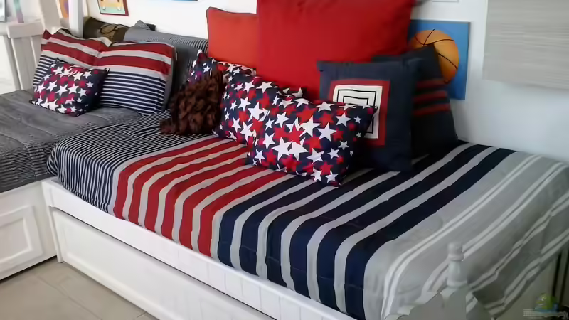 Matratzen richtig pflegen: So bleibt Ihr Schlafplatz hygienisch und komfortabel