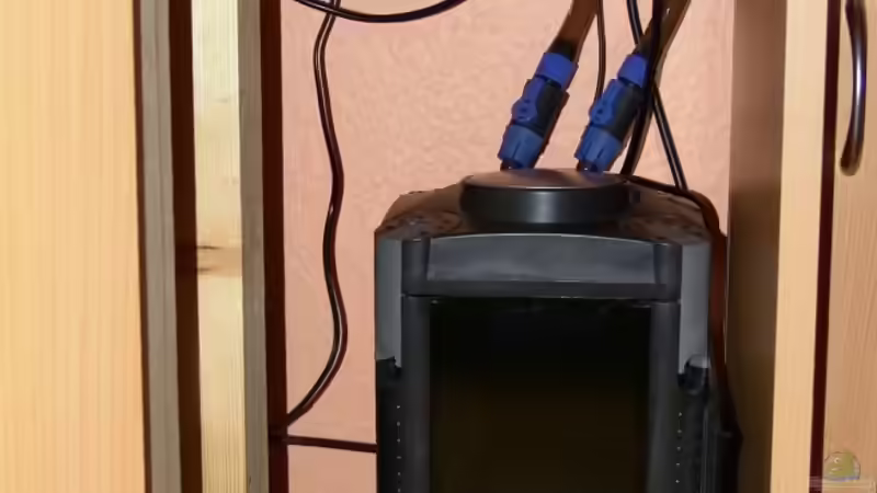 Matrix Aussenfilter  von Malawi Freak (9)