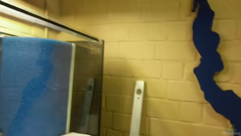 Matte und der Tanganjikasee an der Wand ;-) von Julien Preuß (31)